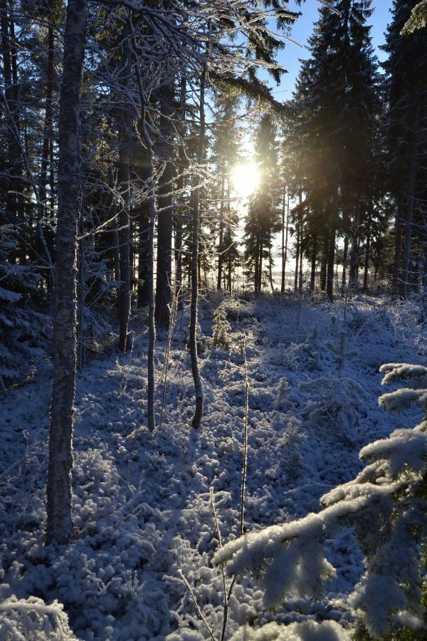 فندق Kujanpaeae | Paajoen Vuokramoekit Himos المظهر الخارجي الصورة