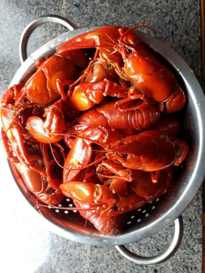 فندق Kujanpaeae | Paajoen Vuokramoekit Himos المظهر الخارجي الصورة